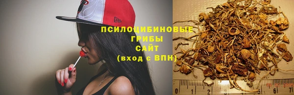 соль курить ск Заволжье