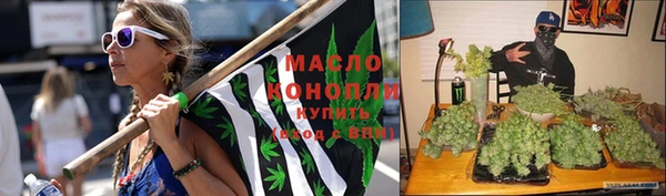 синтетический гашиш Заводоуковск